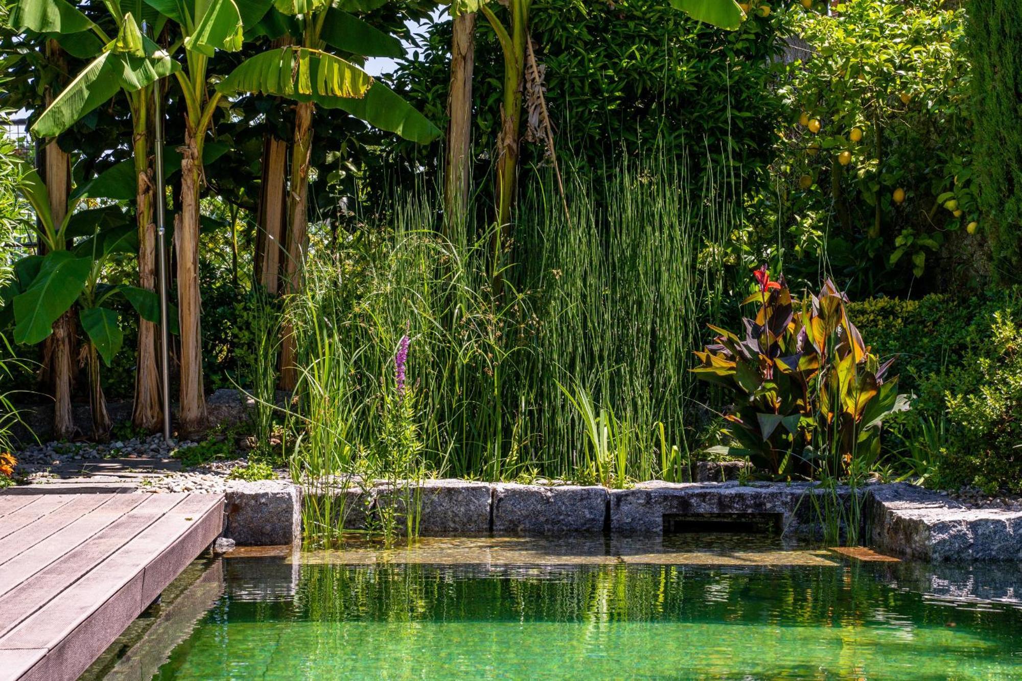 Gondomar Guimaraes - Moradia V3 Com Piscina Natural By House And People Exterior foto